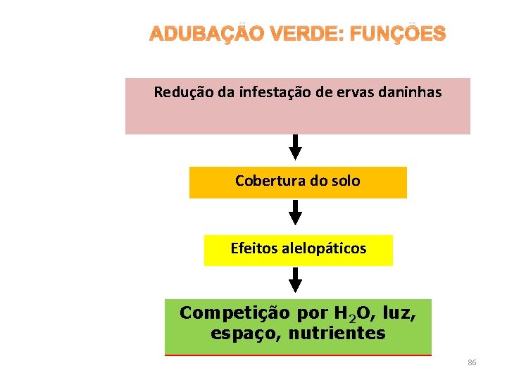 ADUBAÇÃO VERDE: FUNÇÕES Redução da infestação de ervas daninhas Cobertura do solo Efeitos alelopáticos