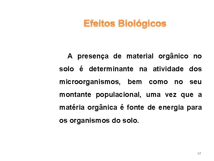 Efeitos Biológicos A presença de material orgânico no solo é determinante na atividade dos