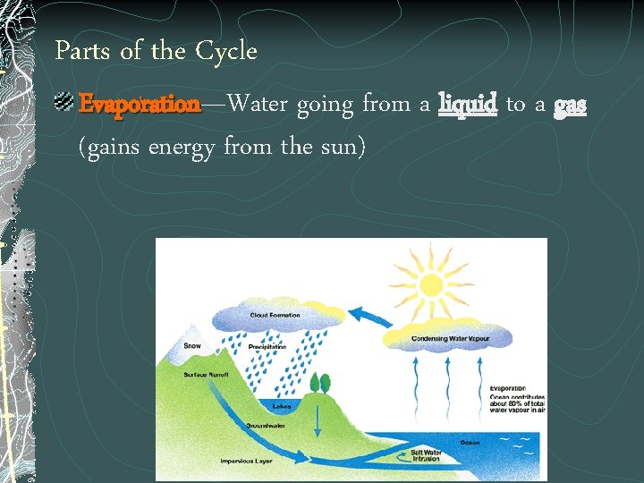 Parts of the Cycle Evaporation—Water going from a liquid to a gas Evaporation (gains