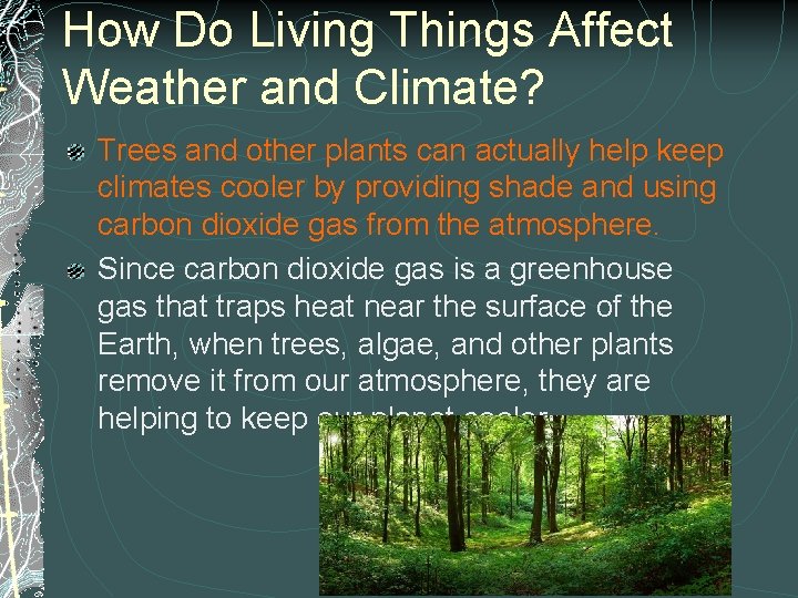 How Do Living Things Affect Weather and Climate? Trees and other plants can actually