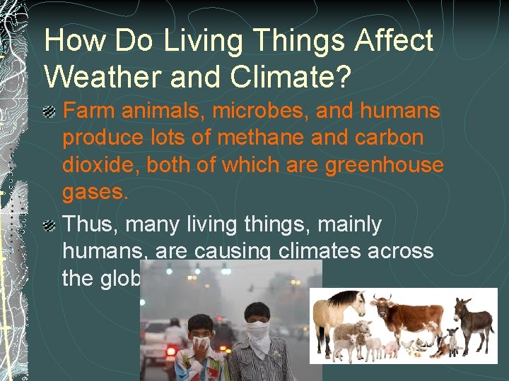 How Do Living Things Affect Weather and Climate? Farm animals, microbes, and humans produce