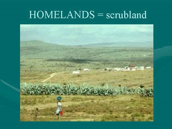 HOMELANDS = scrubland 