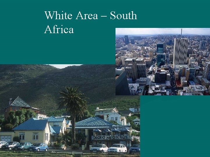 White Area – South Africa 