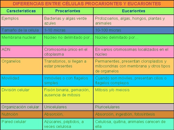 DIFERENCIAS ENTRE CÉLULAS PROCARIONTES Y EUCARIONTES Características Procariontes Eucariontes Ejemplos Bacterias y algas verde