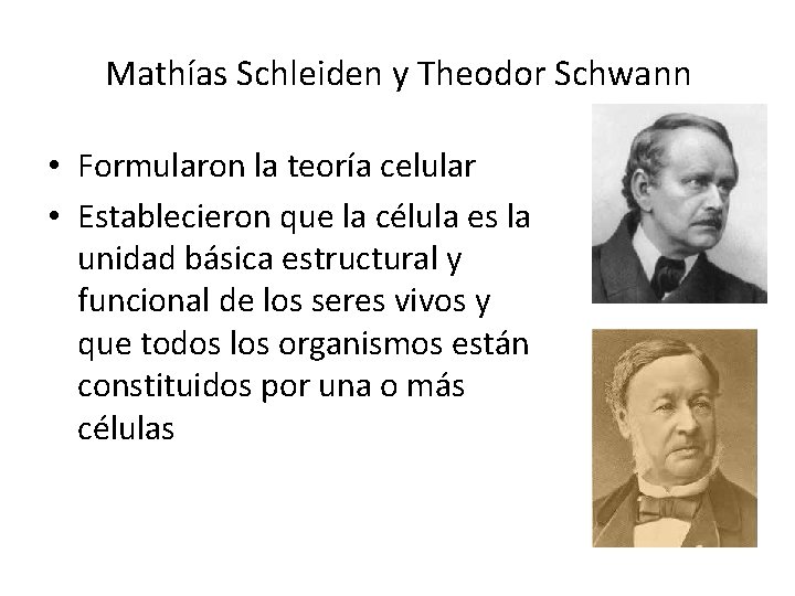 Mathías Schleiden y Theodor Schwann • Formularon la teoría celular • Establecieron que la