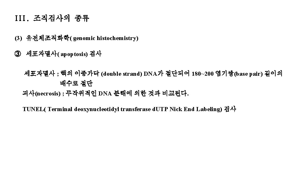 III. 조직검사의 종류 (3) 유전체조직화학( genomic histochemistry) ③ 세포자멸사( apoptosis) 검사 세포자멸사 ; 핵의