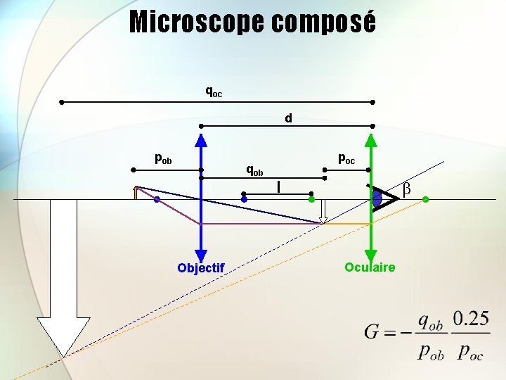 Microscope composé qoc d pob qob Objectif poc l β Oculaire 