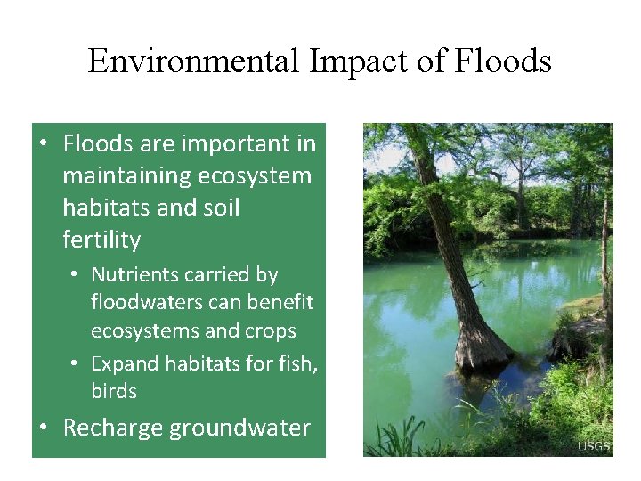 Environmental Impact of Floods • Floods are important in maintaining ecosystem habitats and soil