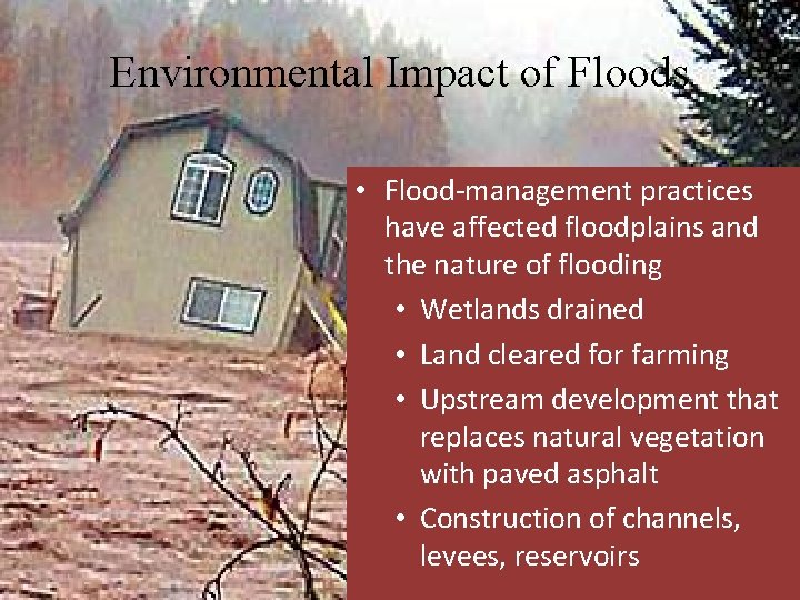 Environmental Impact of Floods • Flood-management practices have affected floodplains and the nature of