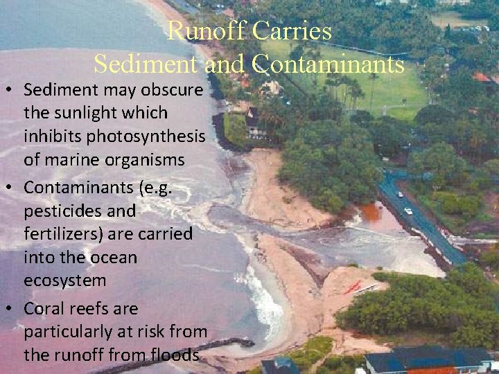 Runoff Carries Sediment and Contaminants • Sediment may obscure the sunlight which inhibits photosynthesis