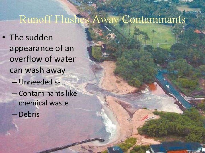 Runoff Flushes Away Contaminants • The sudden appearance of an overflow of water can