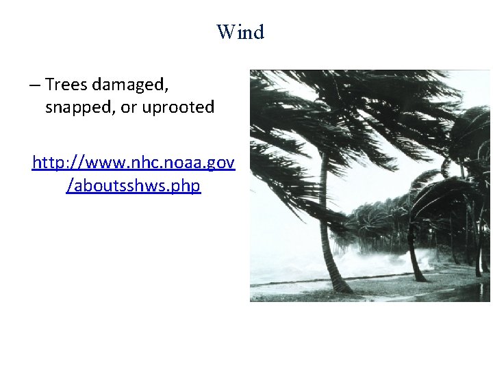 Wind – Trees damaged, snapped, or uprooted http: //www. nhc. noaa. gov /aboutsshws. php