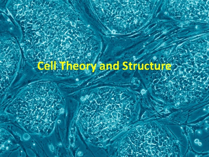 Cell Theory and Structure 