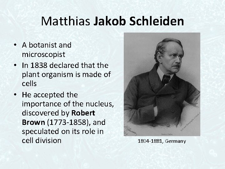 Matthias Jakob Schleiden • A botanist and microscopist • In 1838 declared that the