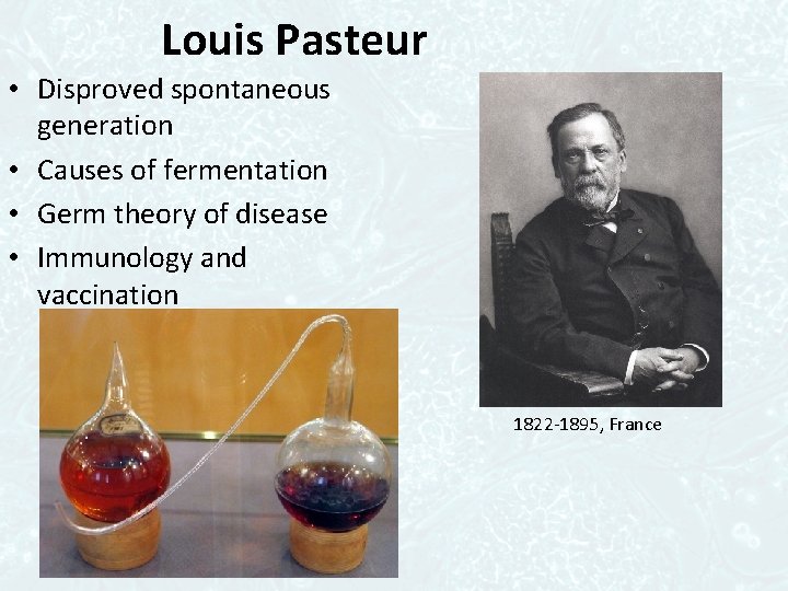 Louis Pasteur • Disproved spontaneous generation • Causes of fermentation • Germ theory of