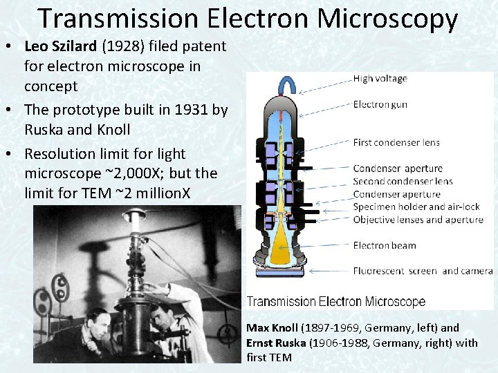 Transmission Electron Microscopy • Leo Szilard (1928) filed patent for electron microscope in concept