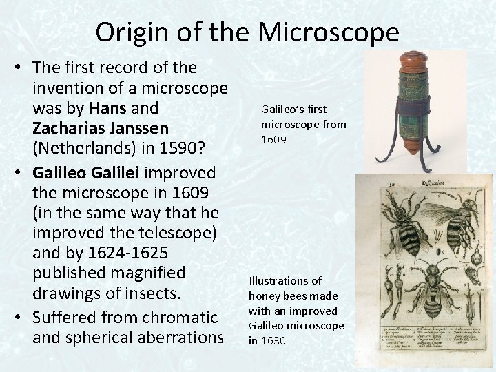 Origin of the Microscope • The first record of the invention of a microscope