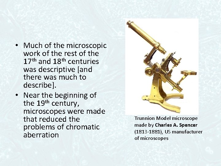  • Much of the microscopic work of the rest of the 17 th