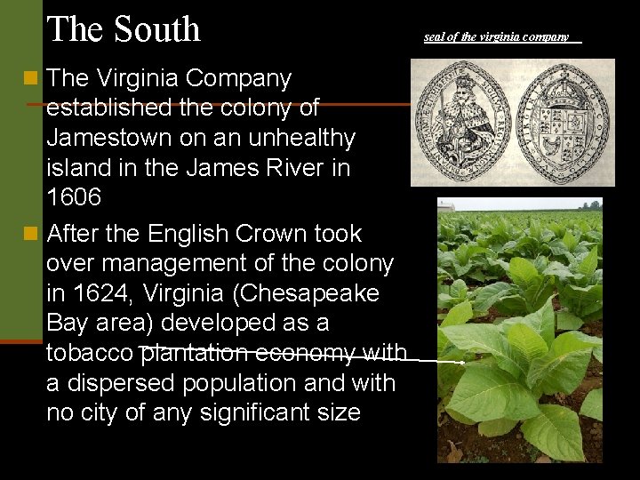 The South n The Virginia Company established the colony of Jamestown on an unhealthy