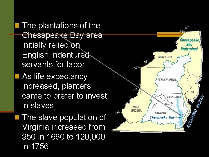n The plantations of the Chesapeake Bay area initially relied on English indentured servants