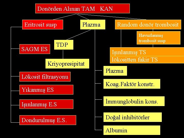 Donörden Alınan TAM KAN Eritrosit susp SAGM ES Plazma Random donör trombosit Havuzlanmış trombosit