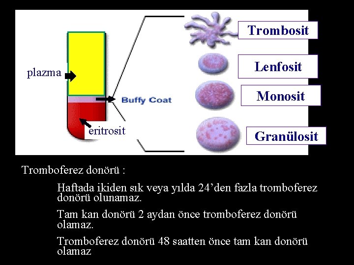 Trombosit Lenfosit plazma Monosit eritrosit Granülosit Tromboferez donörü : Haftada ikiden sık veya yılda