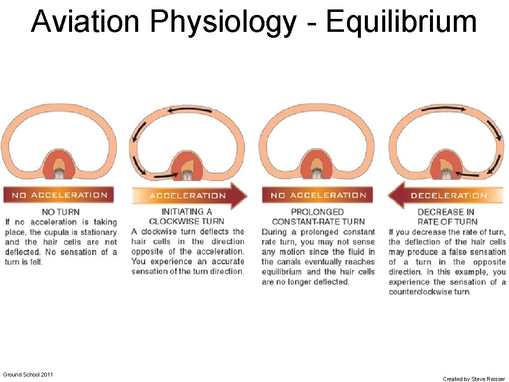 Aviation Physiology - Equilibrium Ground School 2011 Created by Steve Reisser 