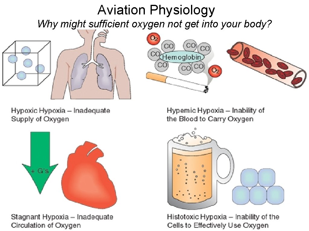 Aviation Physiology Why might sufficient oxygen not get into your body? Ground School 2011