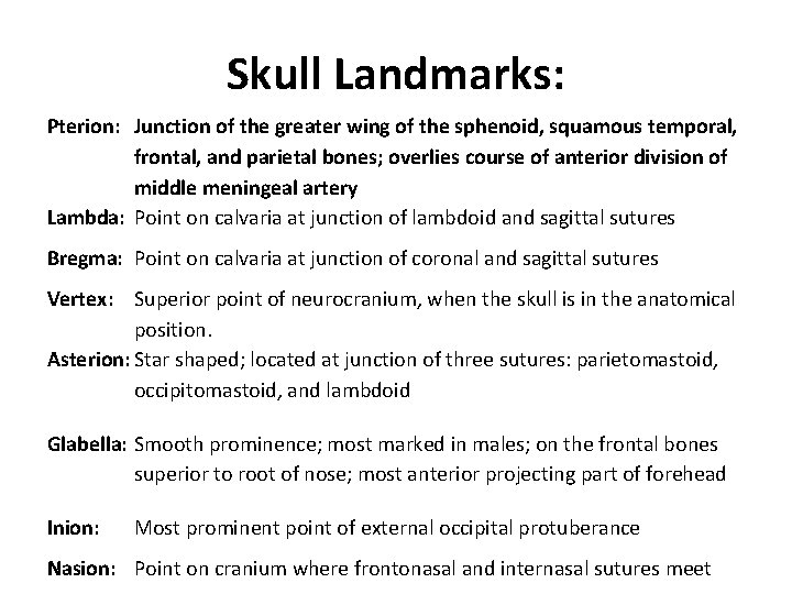 Skull Landmarks: Pterion: Junction of the greater wing of the sphenoid, squamous temporal, frontal,