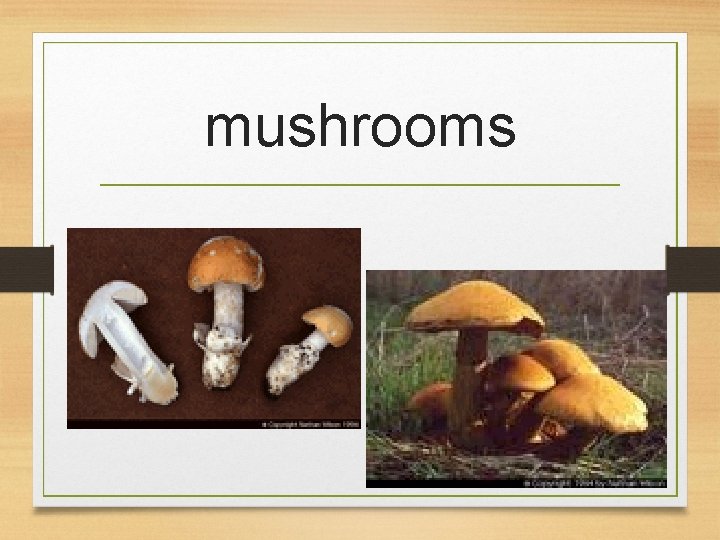 mushrooms 