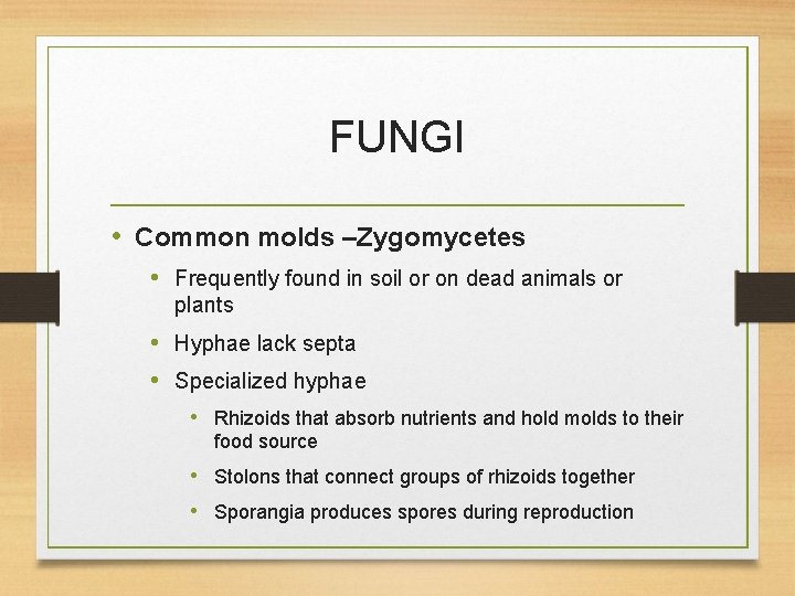 FUNGI • Common molds –Zygomycetes • Frequently found in soil or on dead animals