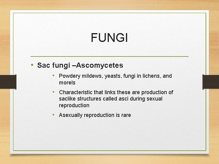 FUNGI • Sac fungi –Ascomycetes • Powdery mildews, yeasts, fungi in lichens, and morels