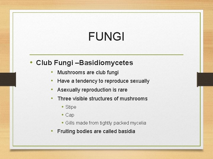 FUNGI • Club Fungi –Basidiomycetes • • Mushrooms are club fungi Have a tendency