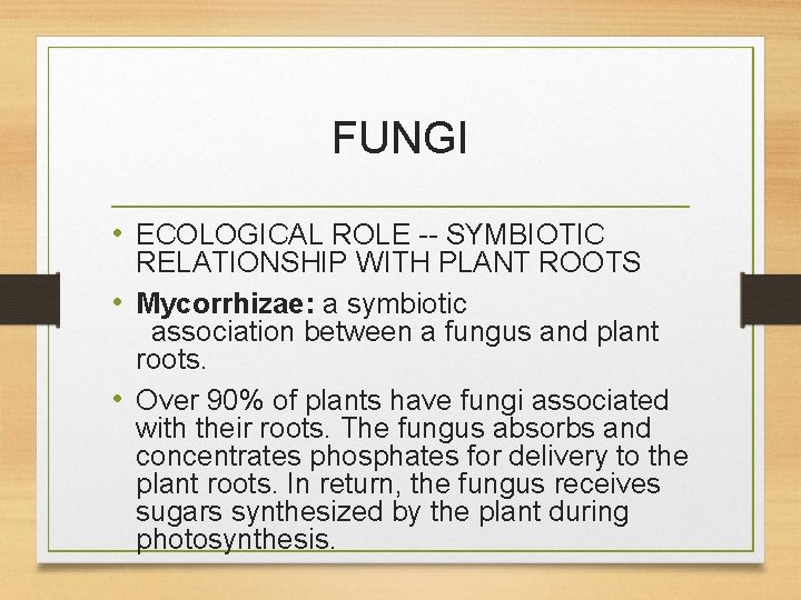 FUNGI • ECOLOGICAL ROLE -- SYMBIOTIC RELATIONSHIP WITH PLANT ROOTS • Mycorrhizae: a symbiotic