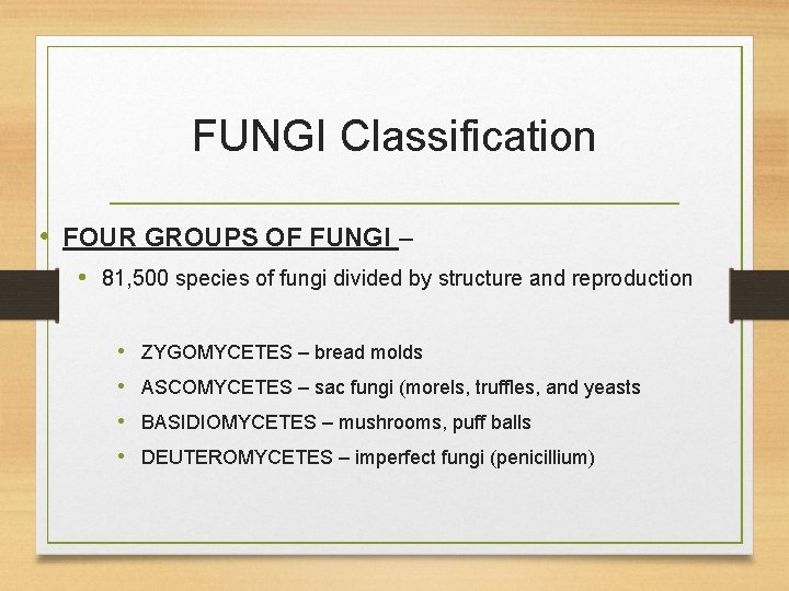 FUNGI Classification • FOUR GROUPS OF FUNGI – • 81, 500 species of fungi