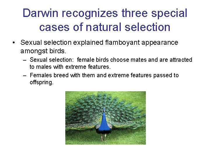 Darwin recognizes three special cases of natural selection • Sexual selection explained flamboyant appearance