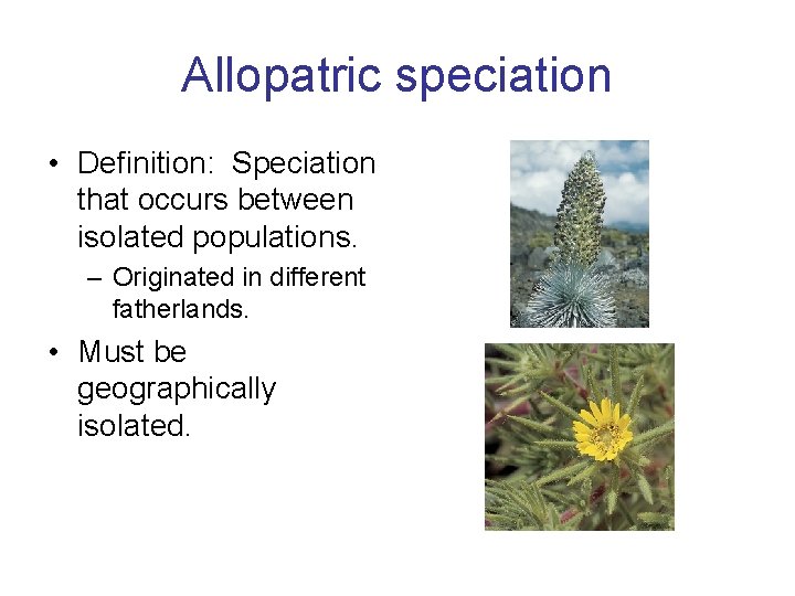 Allopatric speciation • Definition: Speciation that occurs between isolated populations. – Originated in different