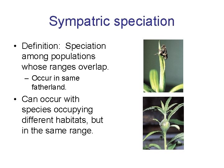 Sympatric speciation • Definition: Speciation among populations whose ranges overlap. – Occur in same