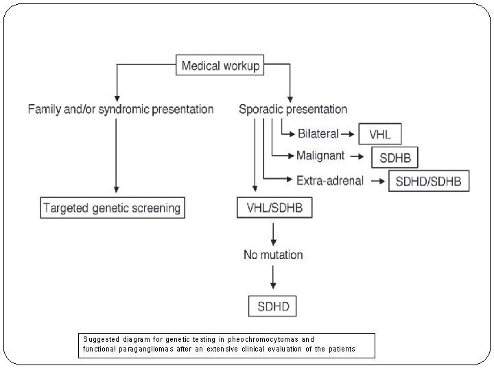 Suggested diagram for genetic testing in pheochromocytomas and functional paragangliomas after an extensive clinical