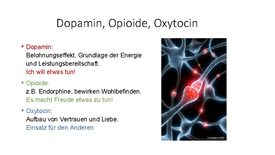 Dopamin, Opioide, Oxytocin • Dopamin: Belohnungseffekt, Grundlage der Energie und Leistungsbereitschaft. Ich will etwas