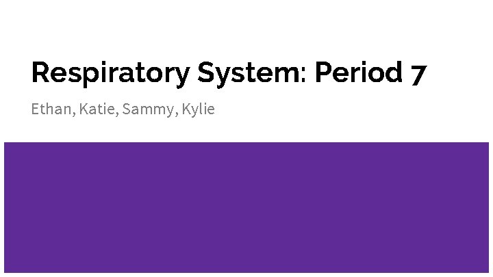 Respiratory System: Period 7 Ethan, Katie, Sammy, Kylie 