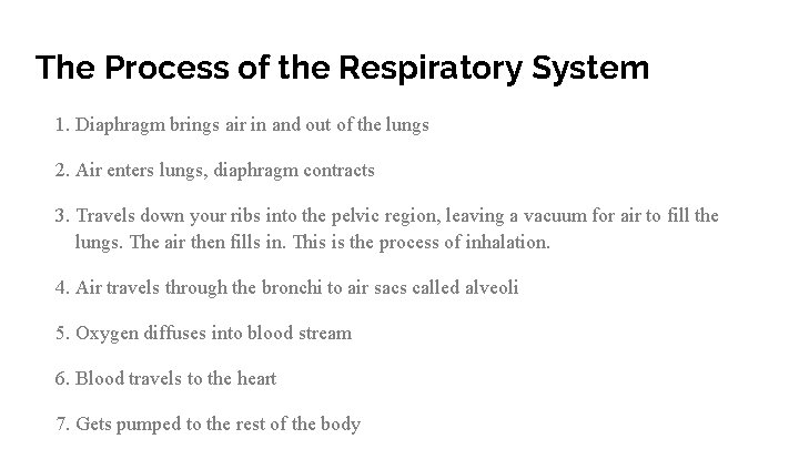 The Process of the Respiratory System 1. Diaphragm brings air in and out of