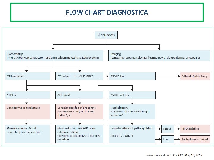 FLOW CHART DIAGNOSTICA + 