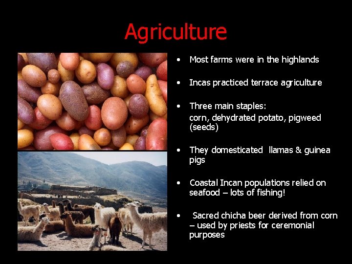 Agriculture • Most farms were in the highlands • Incas practiced terrace agriculture • Agriculture • Most farms were in the highlands • Incas practiced terrace agriculture •