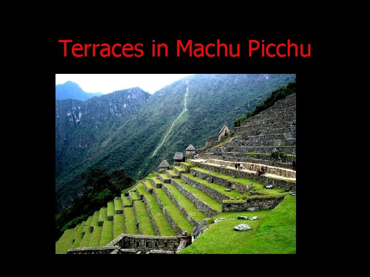 Terraces in Machu Picchu Terraces in Machu Picchu