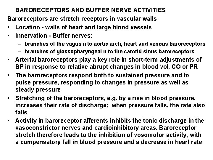 BARORECEPTORS AND BUFFER NERVE ACTIVITIES Baroreceptors are stretch receptors in vascular walls • Location