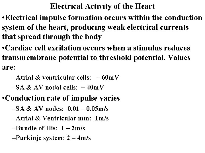 Electrical Activity of the Heart • Electrical impulse formation occurs within the conduction system