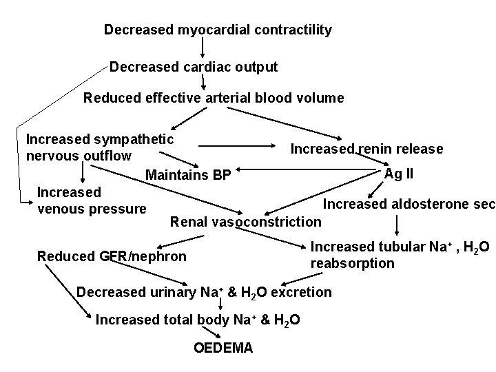 Decreased myocardial contractility Decreased cardiac output Reduced effective arterial blood volume Increased sympathetic Increased