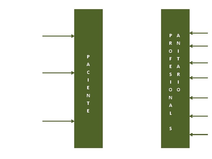 P A C I E N T E P R O F E S