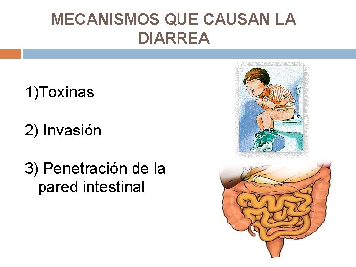 MECANISMOS QUE CAUSAN LA DIARREA 1)Toxinas 2) Invasión 3) Penetración de la pared intestinal
